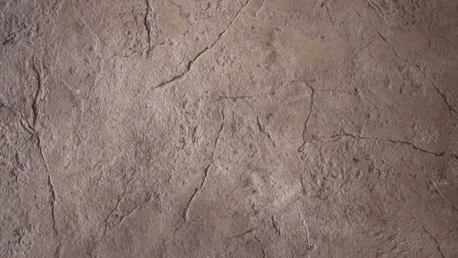 Earthstone stamp pattern in Shelby Township Concrete Showroom
